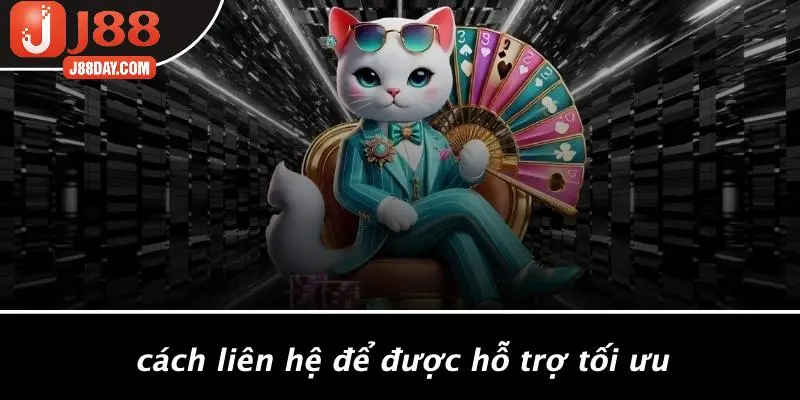 Cách Liên Hệ Để Được Hỗ Trợ Tối Ưu