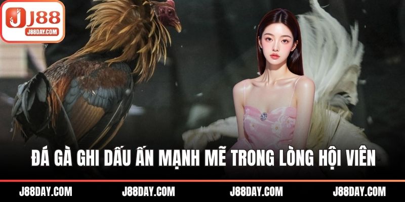 Đá gà ghi dấu ấn mạnh mẽ trong lòng hội viên