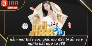 NẰM MƠ THẤY CÓC